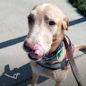 Meet your Posher, Russell